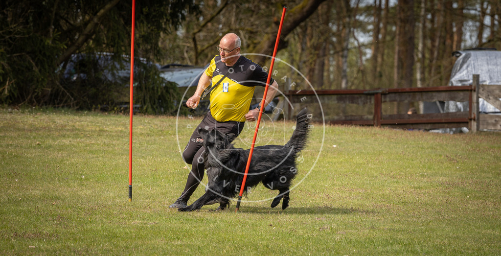 Pfotenfotografie_DV3A8132 | Hundefotografie, Tierfotograf, Pfotenfotografie, Fotoshooting Hund, Hunde Portrait, Hundesport, Hundeportraits, Heideshooting, Hunde, Sportfotograf, Hundefotograf, Turnierhundsport, THS,  - Realisiert mit Pictrs.com