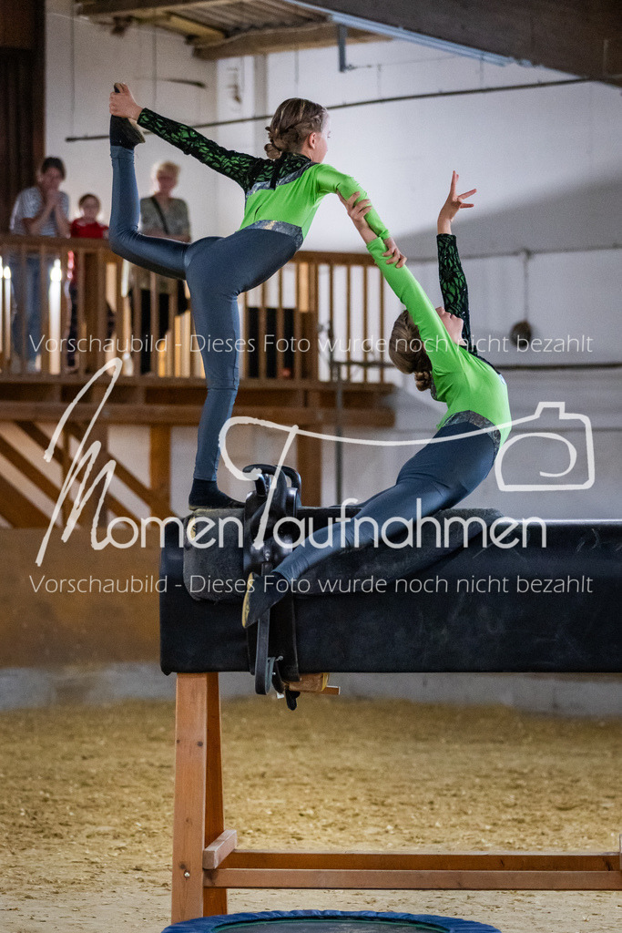 Holzpferd-015 | MomenTaufnahmen Pferdesportfotos