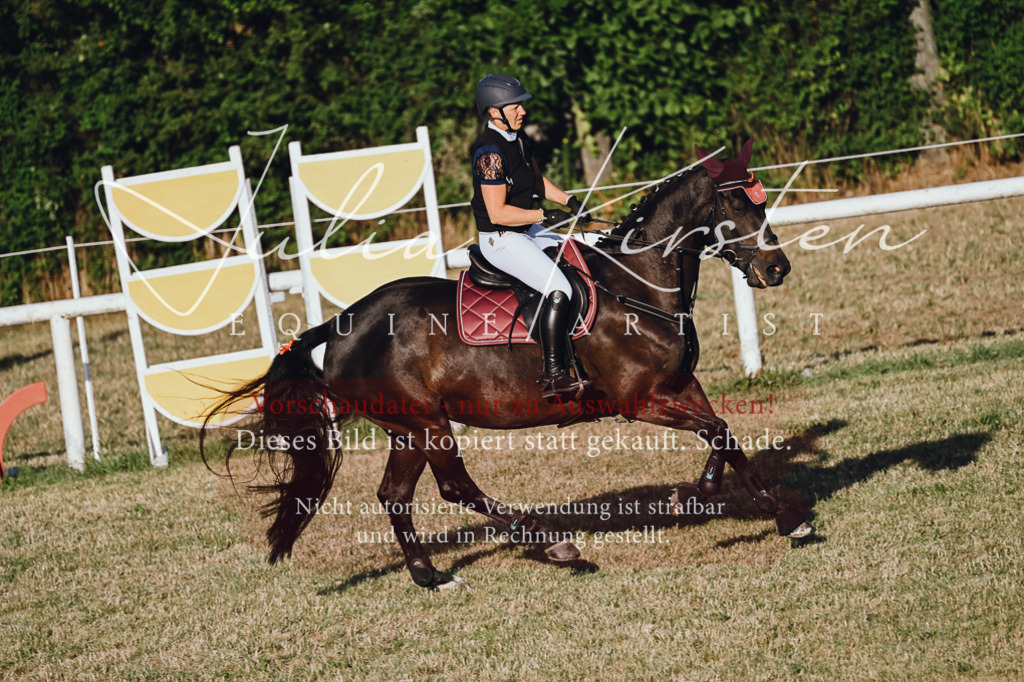 DSC_3241 | Pferde- und Turnierfotografie in Westsachsen. Pferdeportraits, Auftragszeichnungen und intuitive Kunst.