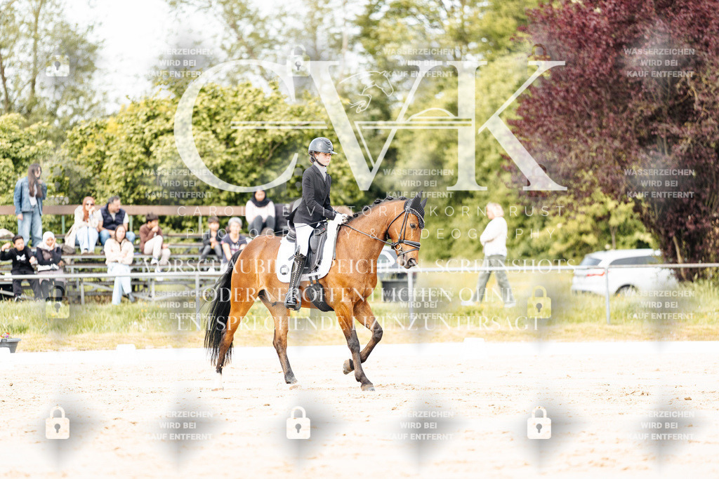 CK900883 | Turnierfotografie Pferdefotografie Trier Rheinland-Pfalz Pferdesport Reitsport Tierfotografie Sportfotografie Pferdevideo Pferdevideografie Equestrianvideography equestrianphotography  - Realisiert mit Pictrs.com