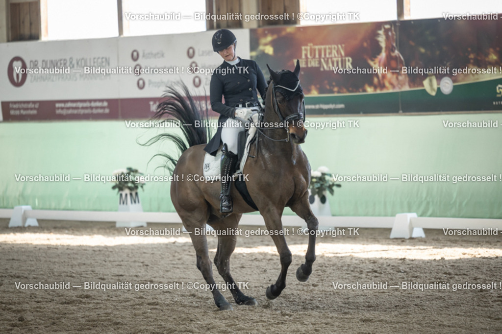 _D5A9905 | Emotionale Pferde- & People-Fotografie rund um Heidelberg, Leimen & Umgebung. Natürliche Fotos von Pferd, Mensch & Familie. Jetzt Termin sichern!