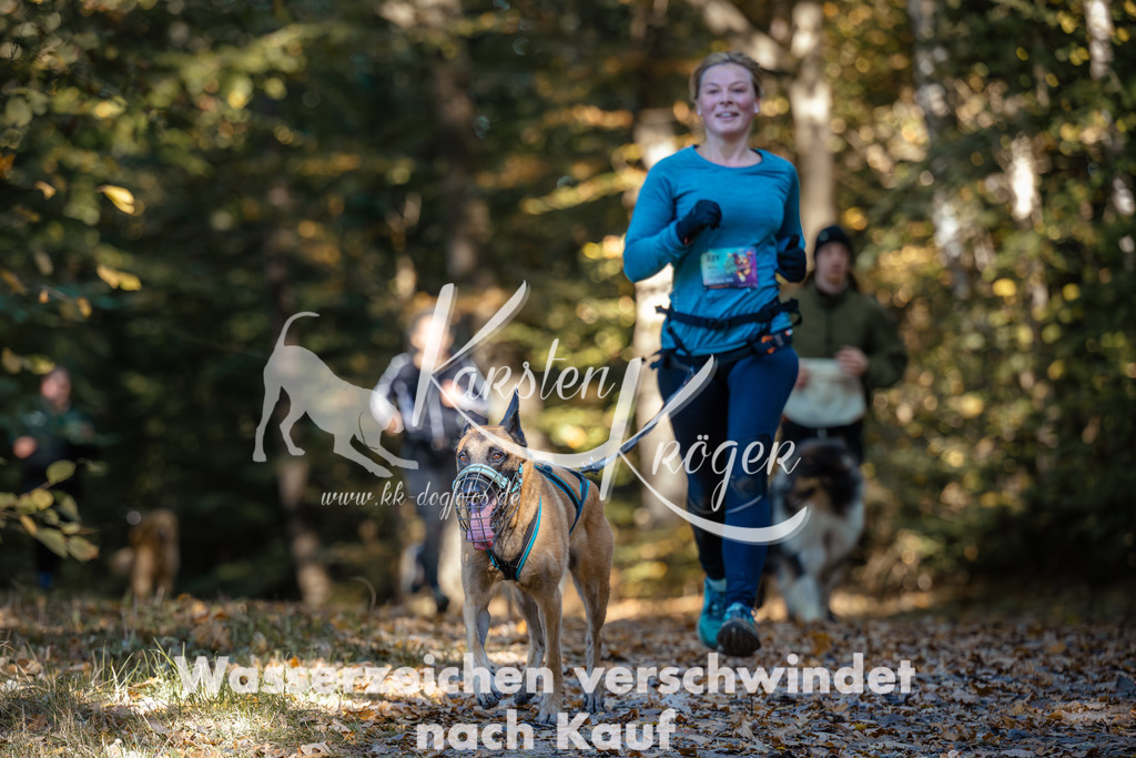 1033_ZZ90237 | kk-dogfotos