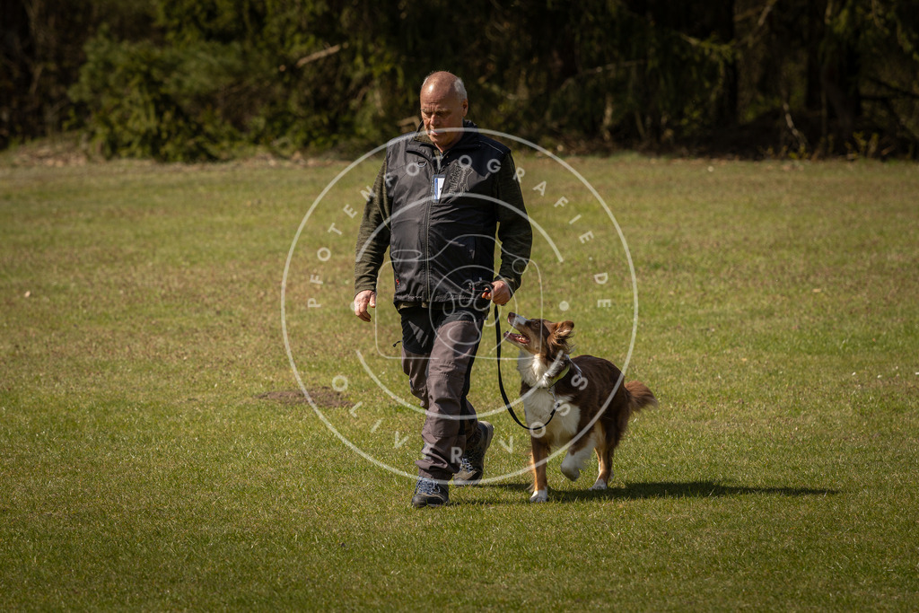 Pfotenfotografie_DV3A1308 | Hundefotografie, Tierfotograf, Pfotenfotografie, Fotoshooting Hund, Hunde Portrait, Hundesport, Hundeportraits, Heideshooting, Hunde, Sportfotograf, Hundefotograf, Turnierhundsport, THS,  - Realisiert mit Pictrs.com