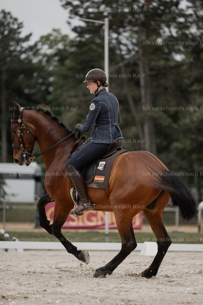 WE_DR_Stoib_340_ _PI2025_123 | Pferd International München 2025