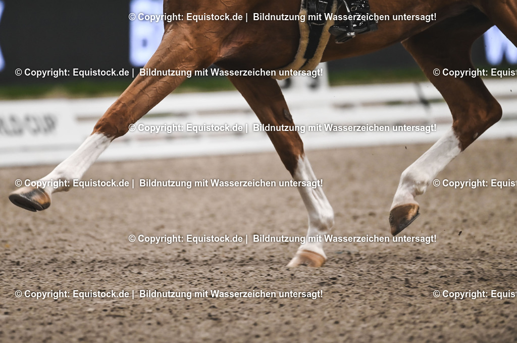 20231117_Impressionen_0156_TOMsPiC | Foto: Thomas Hartig