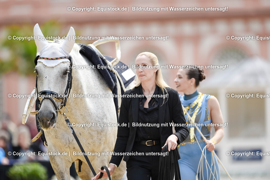 20250608_CVI-Masterclass_0149 | Foto: Thomas Hartig