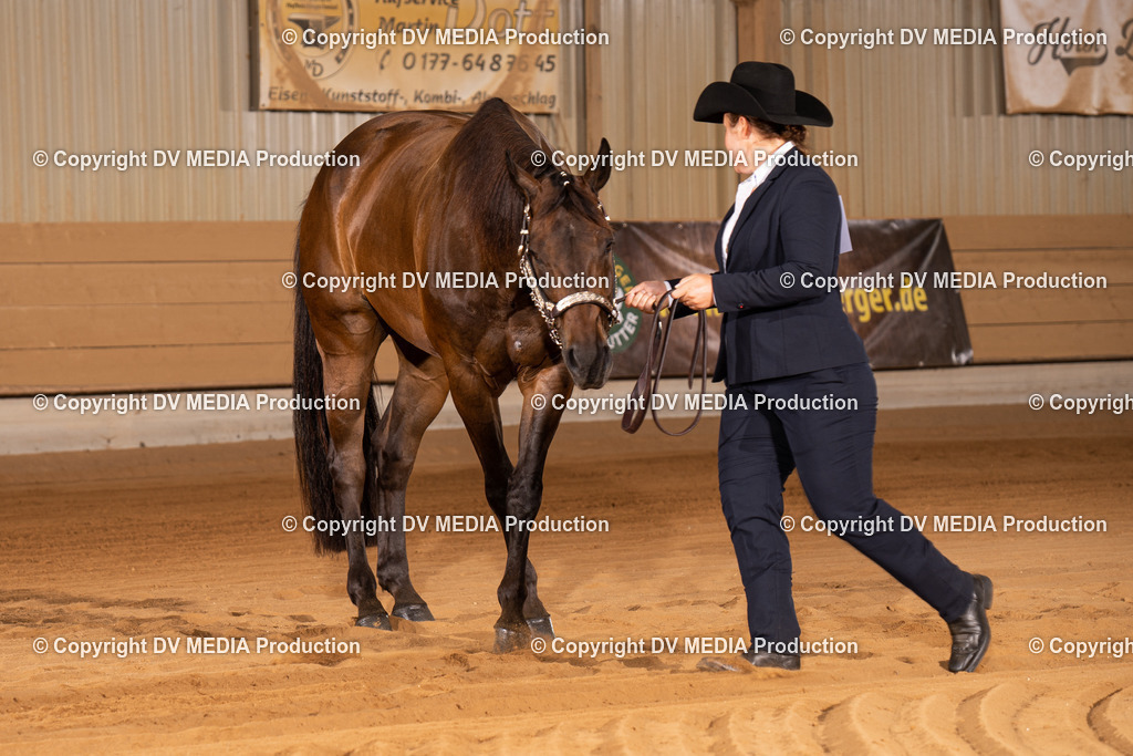 NID00034 | dv-media-shop - Realisiert mit Pictrs.com