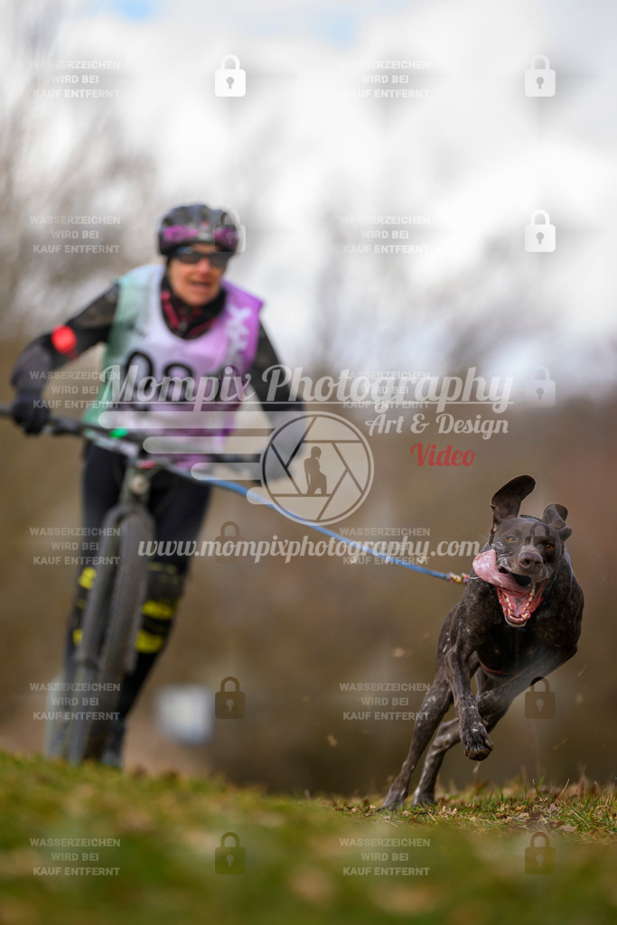 MompixPhotography_10Schwabentrail2026_SO_Scooter-86 | PayLife