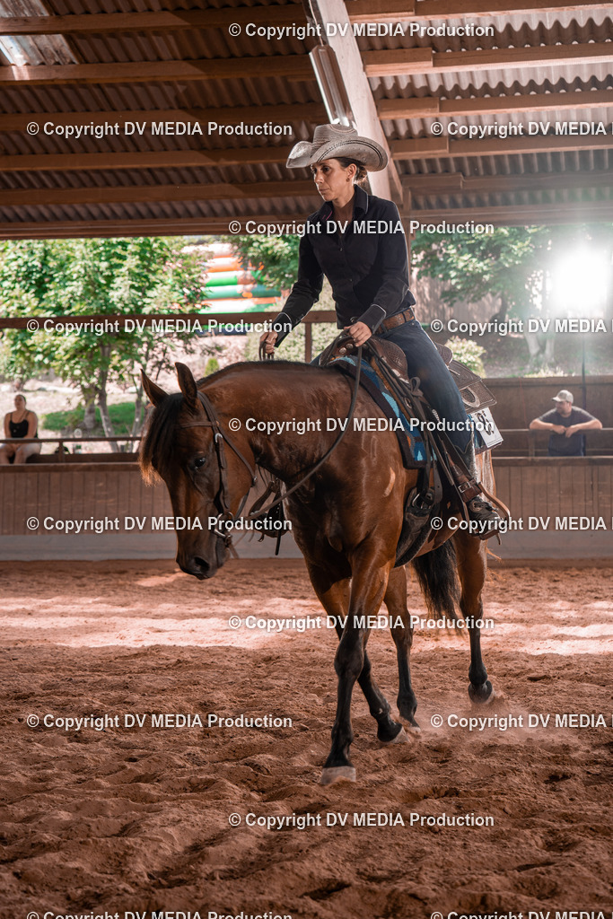 NE100559 | dv-media-shop - Realisiert mit Pictrs.com