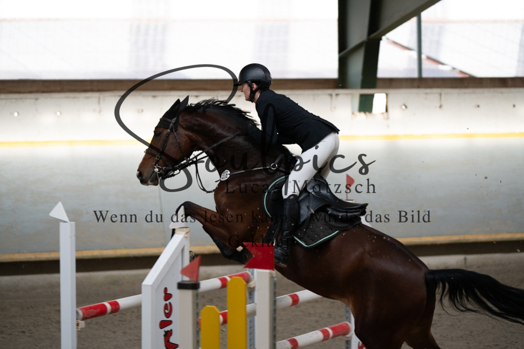 A7V02362 | Pferdefotograf