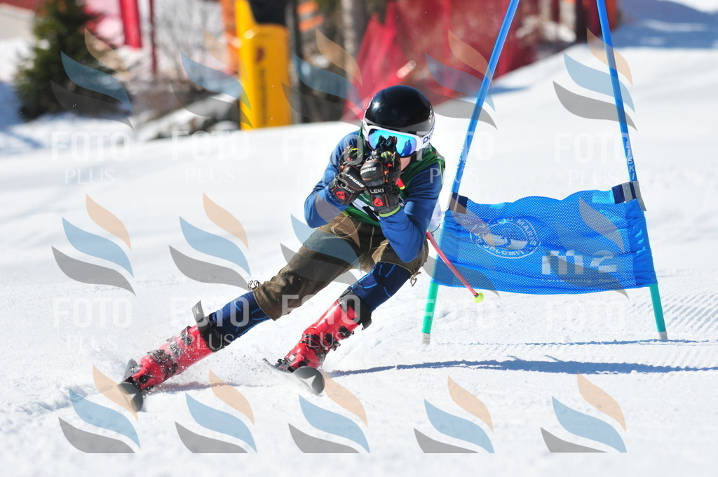 C3483 | holidayphoto