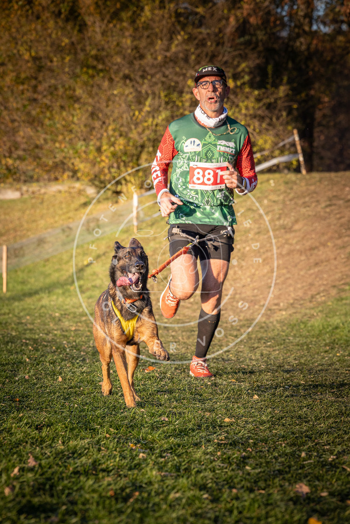 CaniXpix_0L8A1157 | Hundefotografie, Tierfotograf, Pfotenfotografie, Fotoshooting Hund, Hunde Portrait, Hundesport, Hundeportraits, Heideshooting, Hunde, Sportfotograf, Hundefotograf, Turnierhundsport, THS,  - Realisiert mit Pictrs.com