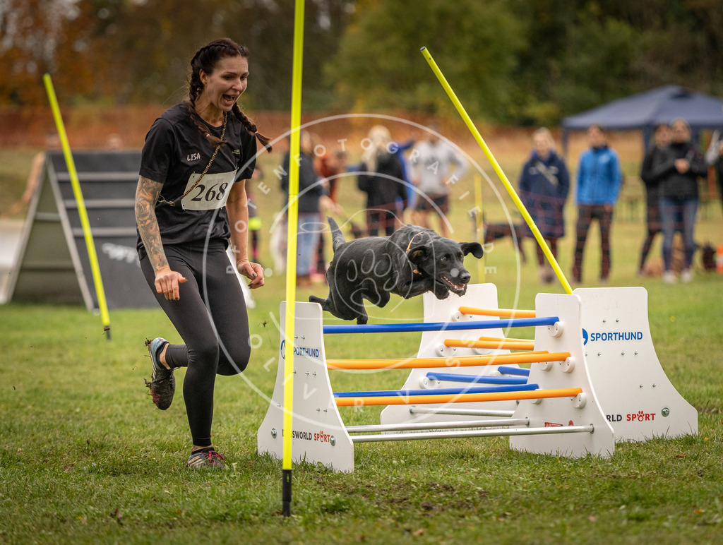 Pfotenfotografie_DV3A7615 | Hundefotografie, Tierfotograf, Pfotenfotografie, Fotoshooting Hund, Hunde Portrait, Hundesport, Hundeportraits, Heideshooting, Hunde, Sportfotograf, Hundefotograf, Turnierhundsport, THS,  - Realisiert mit Pictrs.com