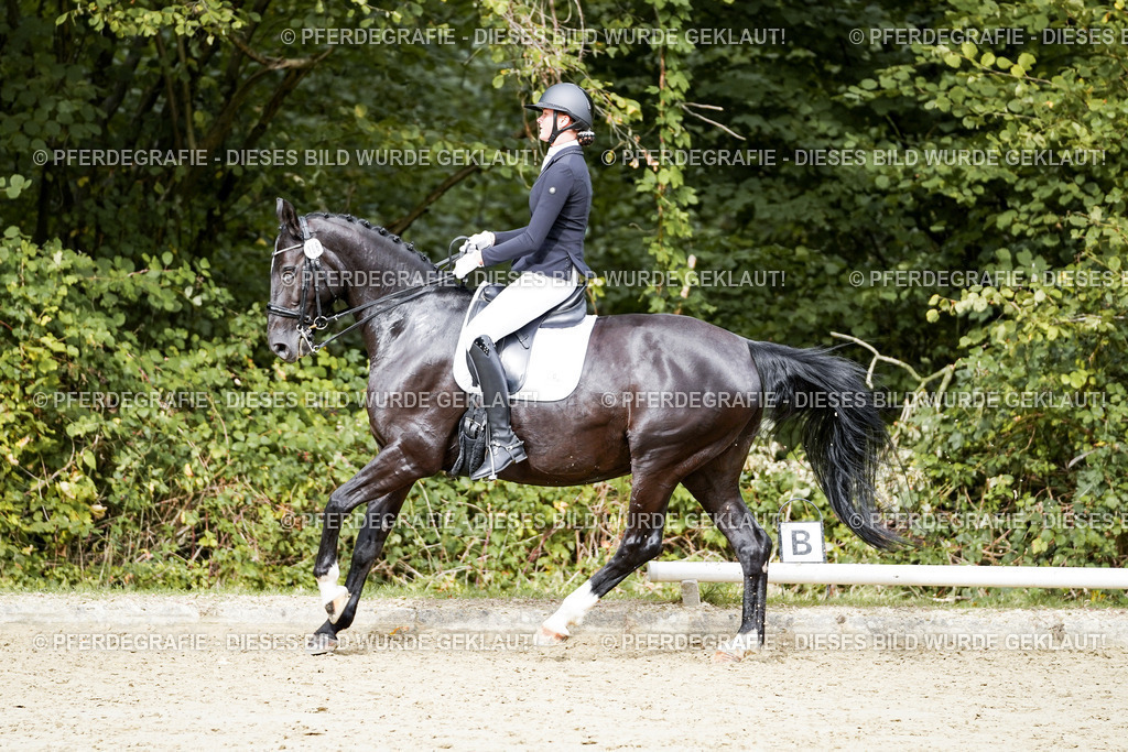 DSC05387 | Pferdegrafie