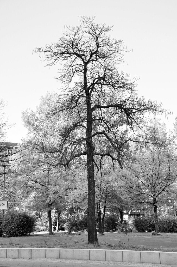 DSC_8945 (2) | Annaeherungen - Realisiert mit Pictrs.com