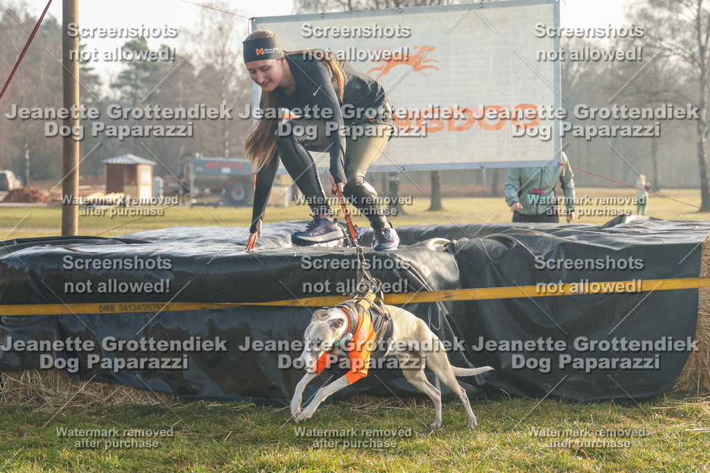 Dog Paparazzi - SD North Sa 830-900-114 | Dog Paparazzi Jeanette Grottendiek Fotografie & Videografie - Realisiert mit Pictrs.com
