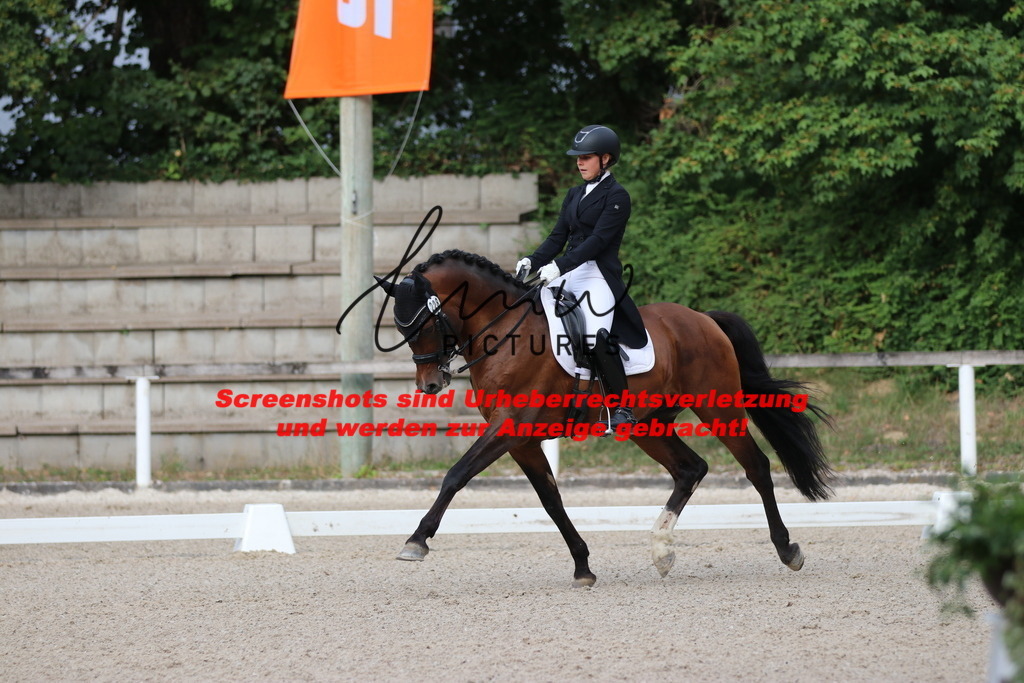 IMG_6097 | lmwpictures - Realisiert mit Pictrs.com