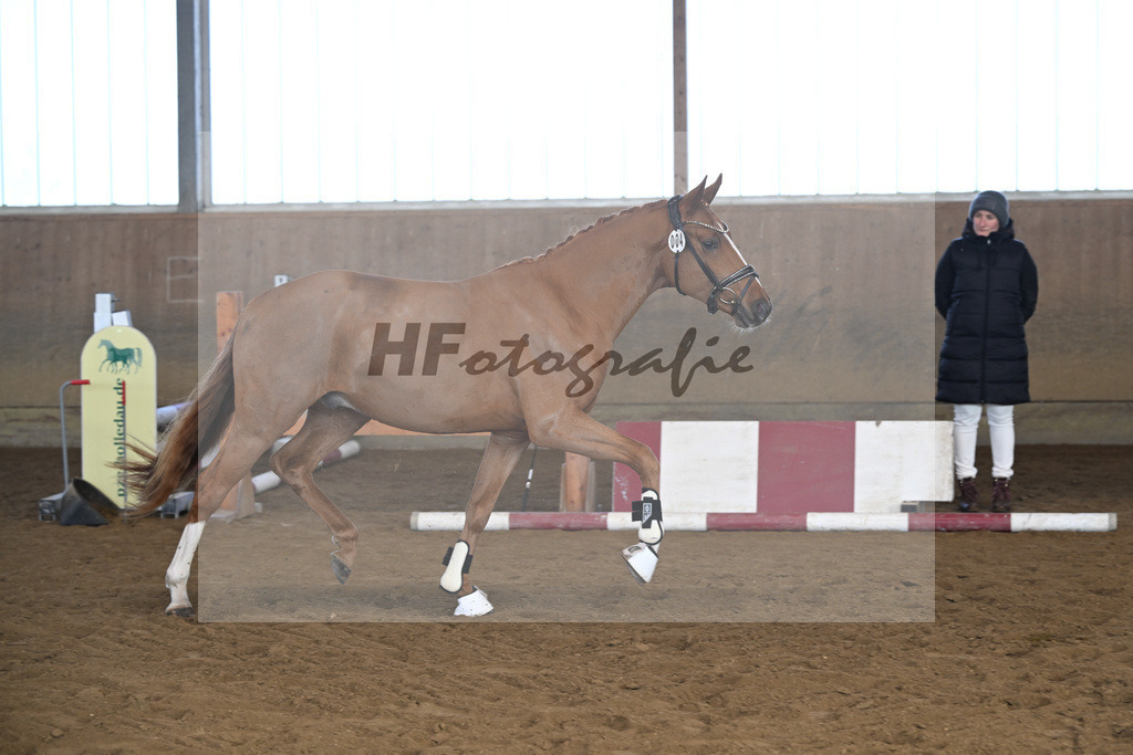 Kat-Nr. 4 Thuraus Giordano v. Giotto_Hummer_49250114 | hf-fotografie - Realisiert mit Pictrs.com