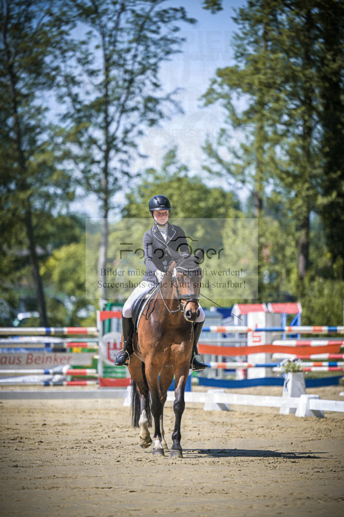 DOS_8102 | Entdecke hochwertige Reitturnierfotos von Foto Oger. Professionell, emotional und authentisch – jetzt Lieblingsmomente im Shop bestellen.Deutschlandweite Turnierfotografie. - Realisiert mit Pictrs.com