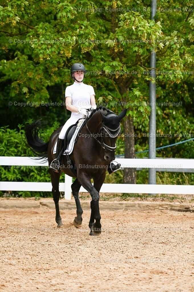 20230715_05_Dressurprüfung Kl.A++_0305 | equistock