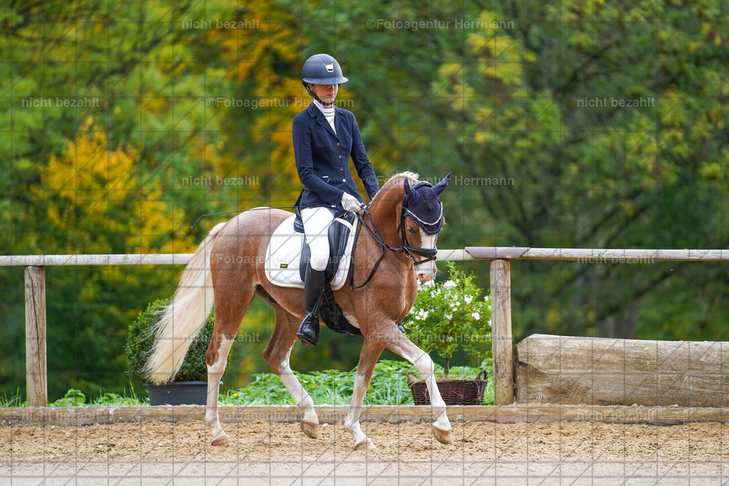 20221008-FAH01136 | Diessen am Ammersee, 2022, Dressur- und Springturnier, Reitsportbilder, Turnierfotografen Bayern, Pferdefotografen, Fotoagentur Herrmann, Turnierbilder