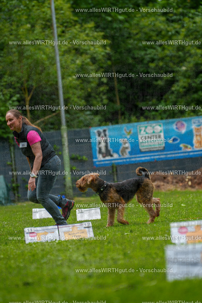@allesWIRTHgut_Tierfotografie - www.allesWIRTHgut.de - 124104-7R509314 | Professionelle Tierfotografie in Mönchengladbach von Daniel Wirth (allesWIRTHgut). Liebevolle & natürliche Bilder von Hunden & Katzen für unvergessliche Erinnerungen.