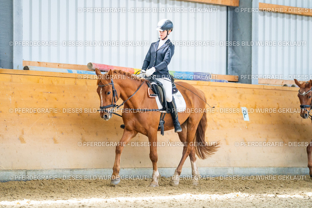 DSC03266 | Pferdegrafie