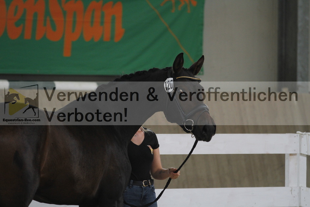 _MG_9958 | equestrian-live-com
