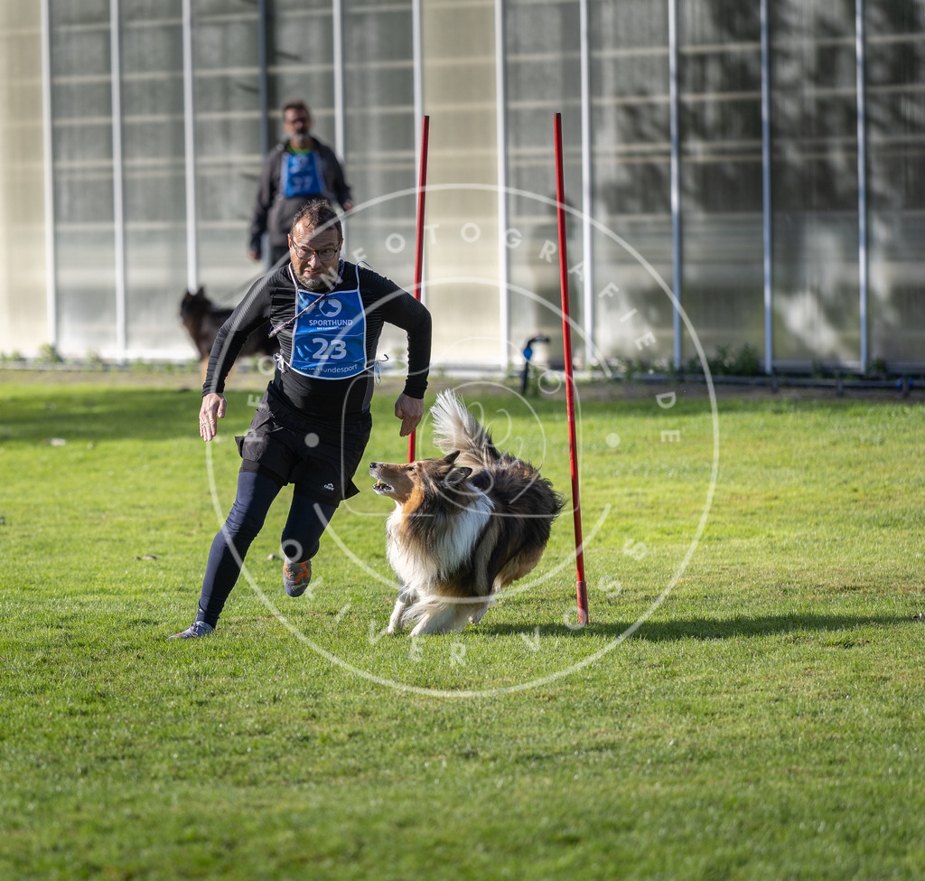 Pfotenfotografie.de_DV3A3255 | Hundefotografie, Tierfotograf, Pfotenfotografie, Fotoshooting Hund, Hunde Portrait, Hundesport, Hundeportraits, Heideshooting, Hunde, Sportfotograf, Hundefotograf, Turnierhundsport, THS, canicross - Realisiert mit Pictrs.com