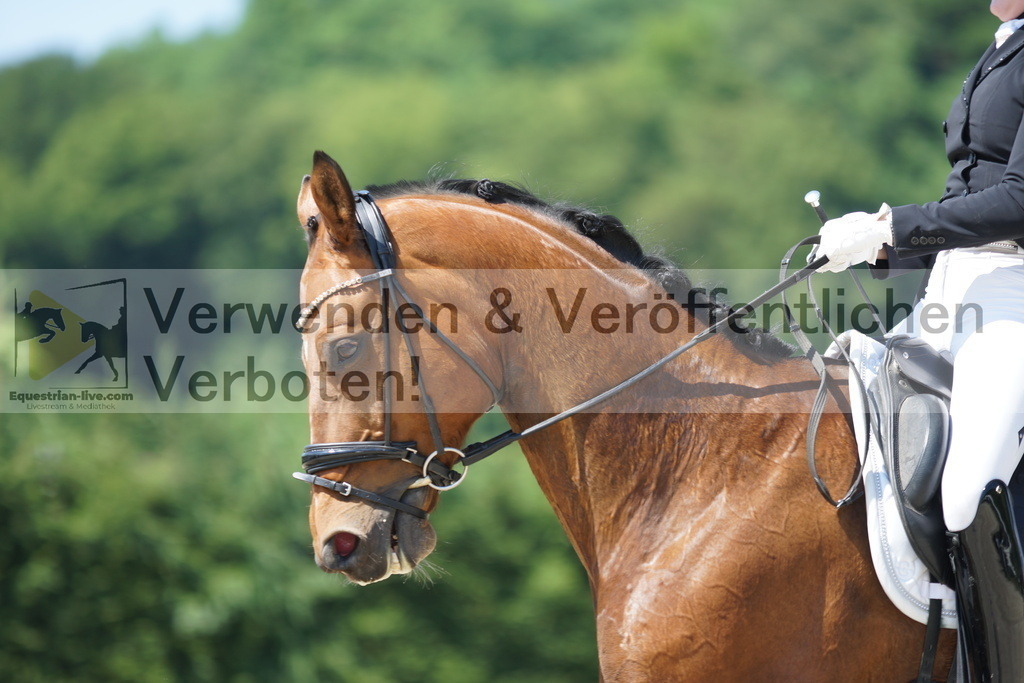 DSC02257 | equestrian-live-com
