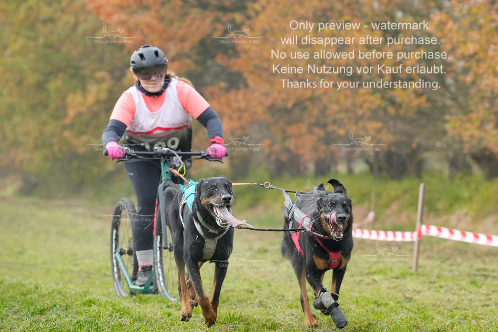 Visbeck_Sa_DS2DR2-90 | stephaniefillaphotographie - Realisiert mit Pictrs.com