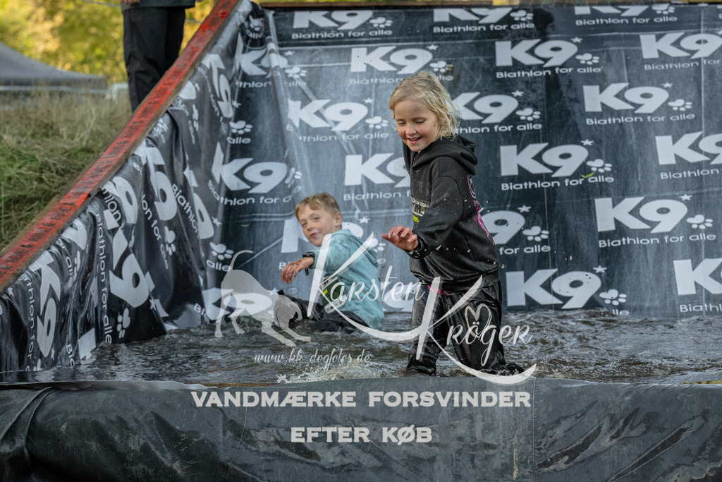 1630_ZZ92501 | kk-dogfotos