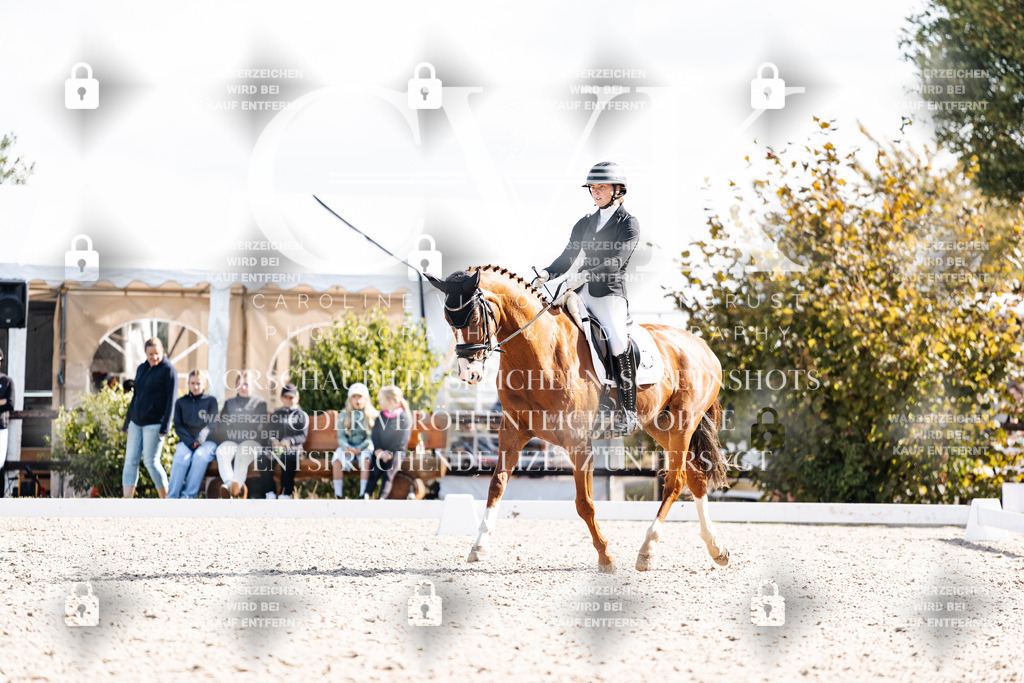 CK902190 | Turnierfotografie Pferdefotografie Trier Rheinland-Pfalz Pferdesport Reitsport Tierfotografie Sportfotografie Pferdevideo Pferdevideografie Equestrianvideography equestrianphotography  - Realisiert mit Pictrs.com