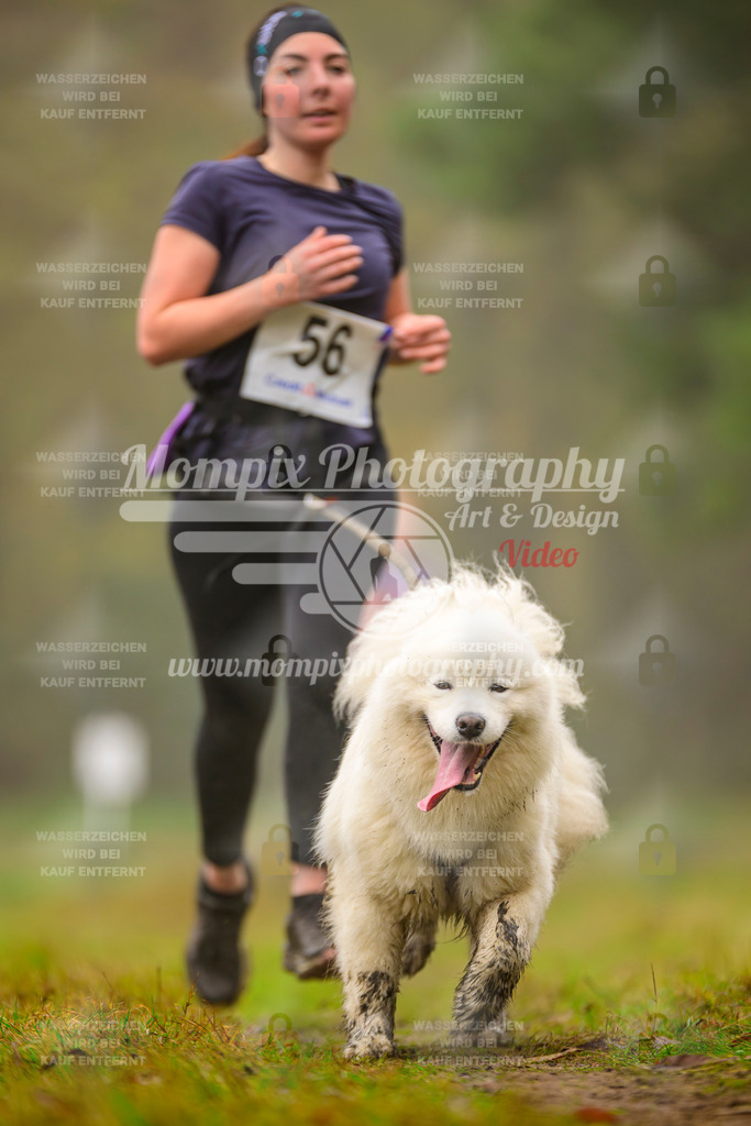 MompixPhotography_Bischwiller2025_Canicross-132 | mompixphotography