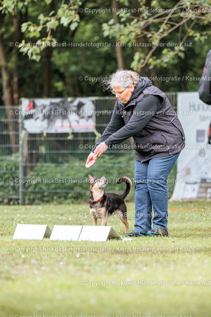 RO-Blumenthal-2026-Nickbest-Hundefotografie-4486 | Dein Hund! Dein Moment! Deine Erinnerungen! Hundefotografie in Bremen Blumenthal. Ich fange die besonderen Momente deines Vierbeiners ein – ob Indoor mit Blitzanlage oder in der freien Natur. Sicher dir dein Moment und dein Termin für eure Erinnerungen.