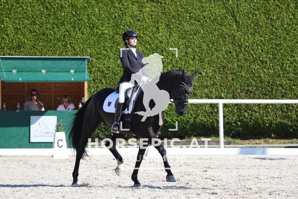 0P6A4781 | Willkommen bei Brunnmayr - Design & Fotografie – Ihrem Spezialisten für Reitturniere und Pferdeveranstaltungen in Oberösterreich, Salzburg und Bayern! Seit über 17 Jahren sind wir leidenschaftlich dabei.