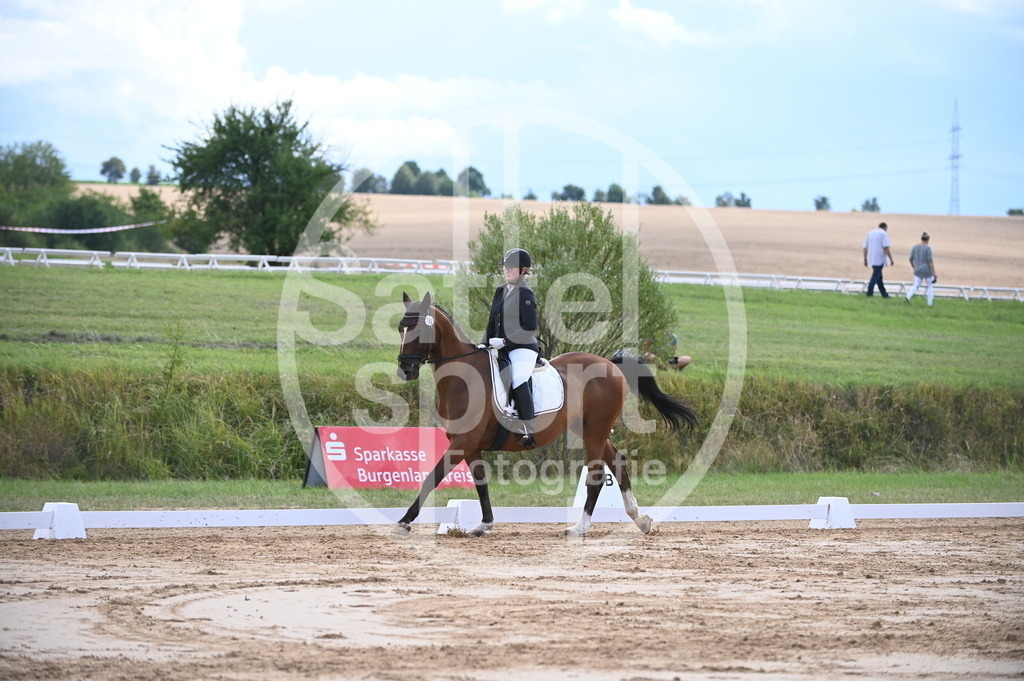 DSC_7660 | sattelsport - Realisiert mit Pictrs.com