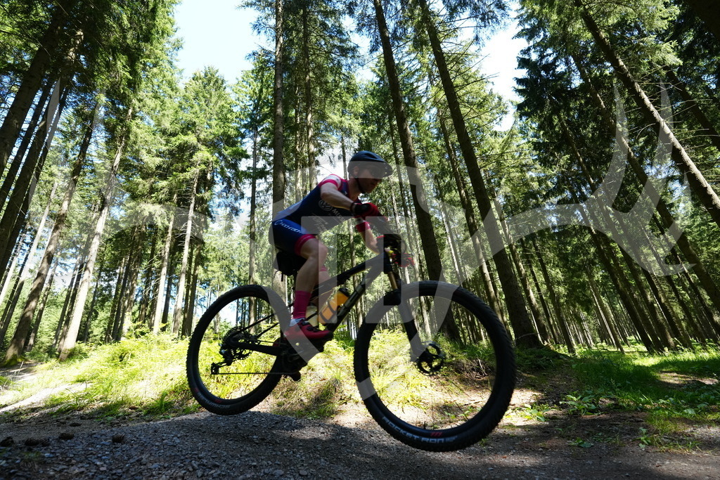FC100848 | Fotogalerie der Treibjagd im Dunkelwald - Dein MTB Etappenrennen im Erzgebirge - Realisiert mit Pictrs.com