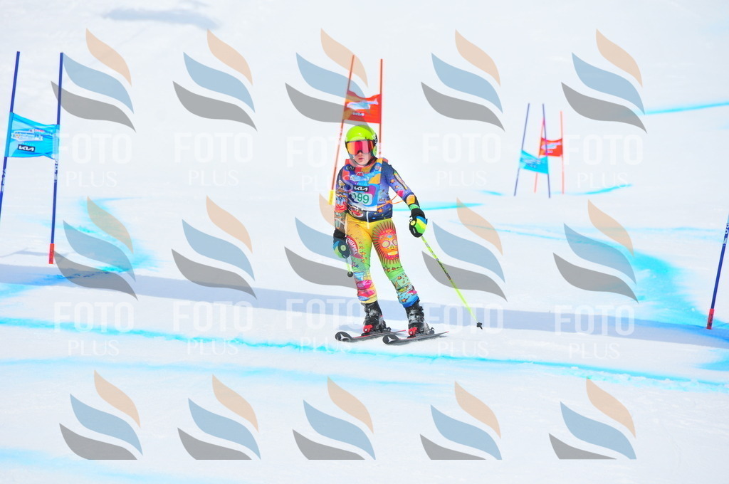 DSC_1823 | holidayphoto