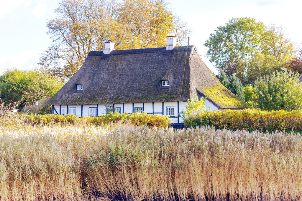Wandbild: Reetdachhaus in Sieseby an der Schlei | Dieses Wandbild im Querformat zeigt ein Reetdachhaus in Sieseby an der Schlei im Herbst. Direkt vor dem Haus befindet sich am Schleiufer Schilf. Hinter dem Haus sind einige herbstliche Bäume zu sehen.  - Realisiert mit Pictrs.com
