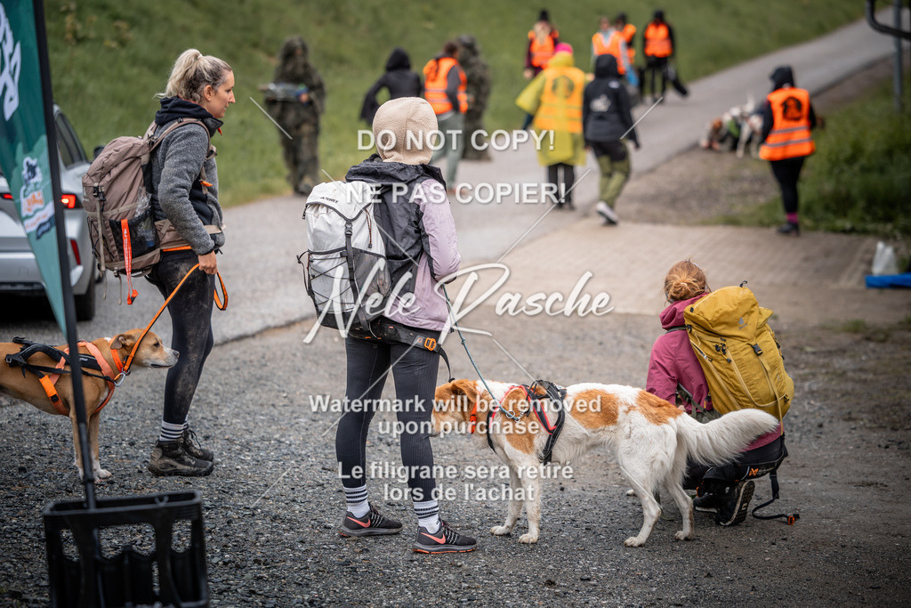 nelerasche_SoZieleinlauf_317 | nelerasche