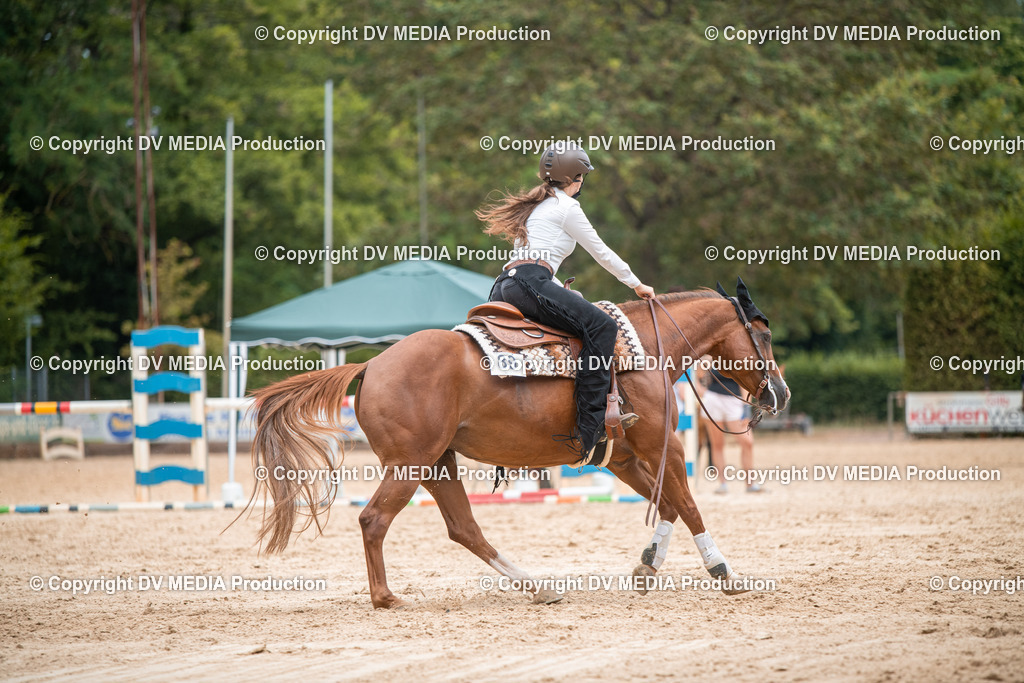 ZS2_8610 | dv-media-shop - Realisiert mit Pictrs.com