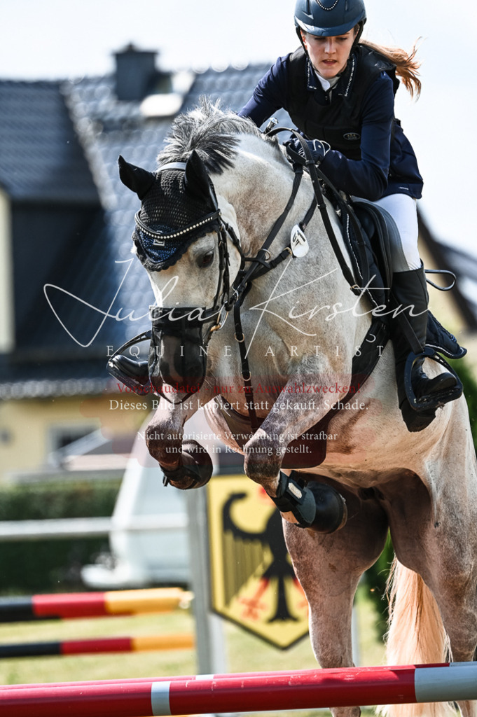 DSC_8808 | Pferde- und Turnierfotografie in Westsachsen. Pferdeportraits, Auftragszeichnungen und intuitive Kunst.