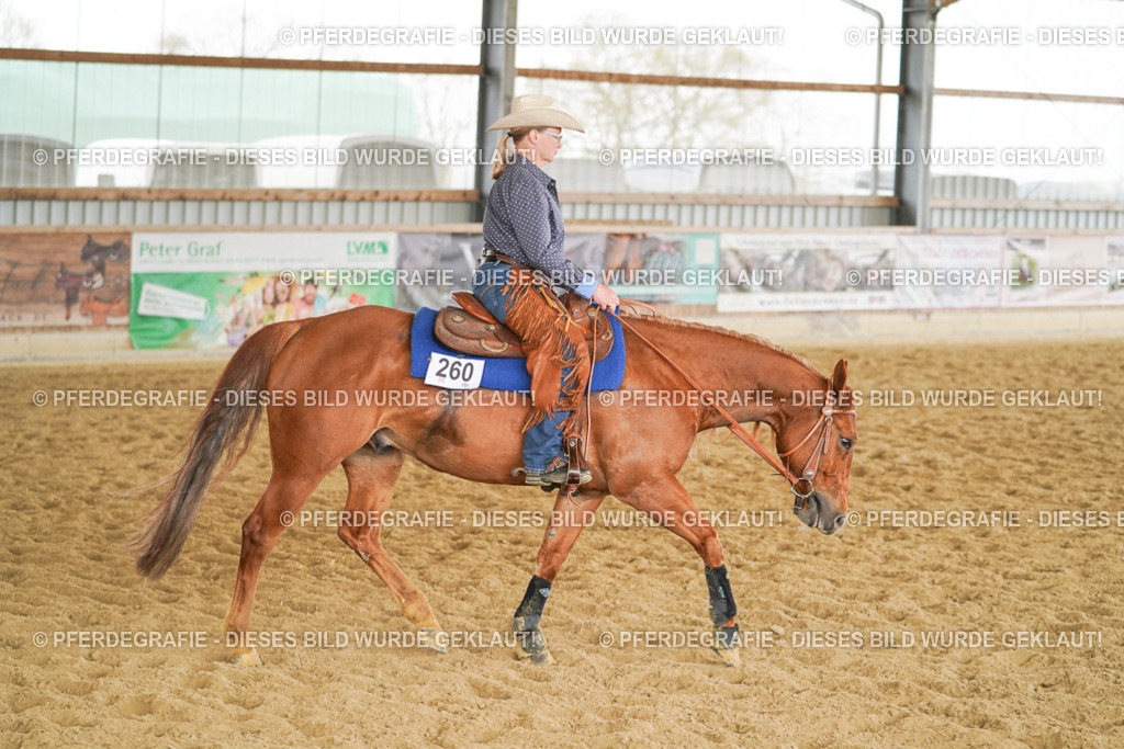 DSC05525 | Pferdegrafie