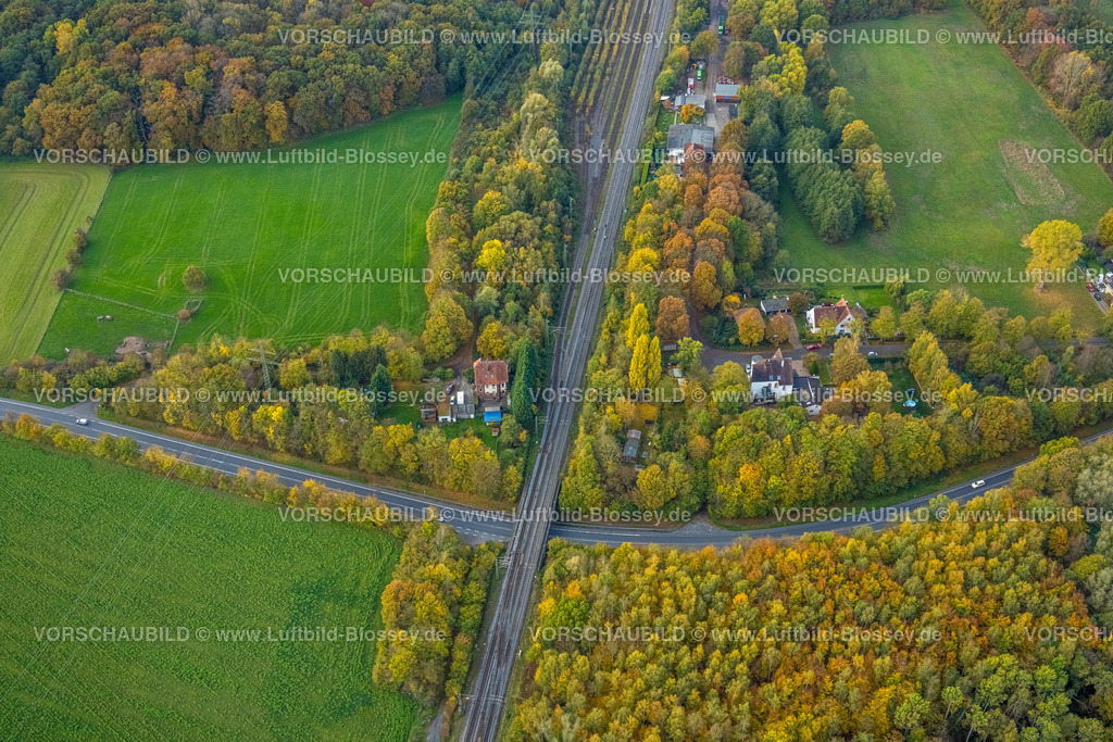 Bergkamen221013198 | Luftbild, Beverwald, Herbstwald, Anbindung Parkplatz Werner Straße, Bahnlinie, Overberge, Bergkamen, Ruhrgebiet, Nordrhein-Westfalen, Deutschland