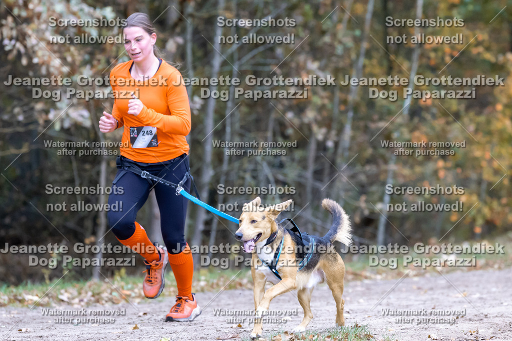 Dog Paparazzi - SD CaniX Championship 2025-645 | Dog Paparazzi Jeanette Grottendiek Fotografie & Videografie - Realisiert mit Pictrs.com