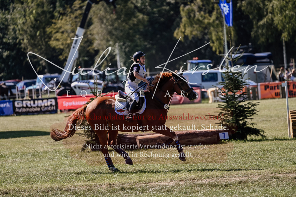 DSC_1902 | Pferde- und Turnierfotografie in Westsachsen. Pferdeportraits, Auftragszeichnungen und intuitive Kunst.