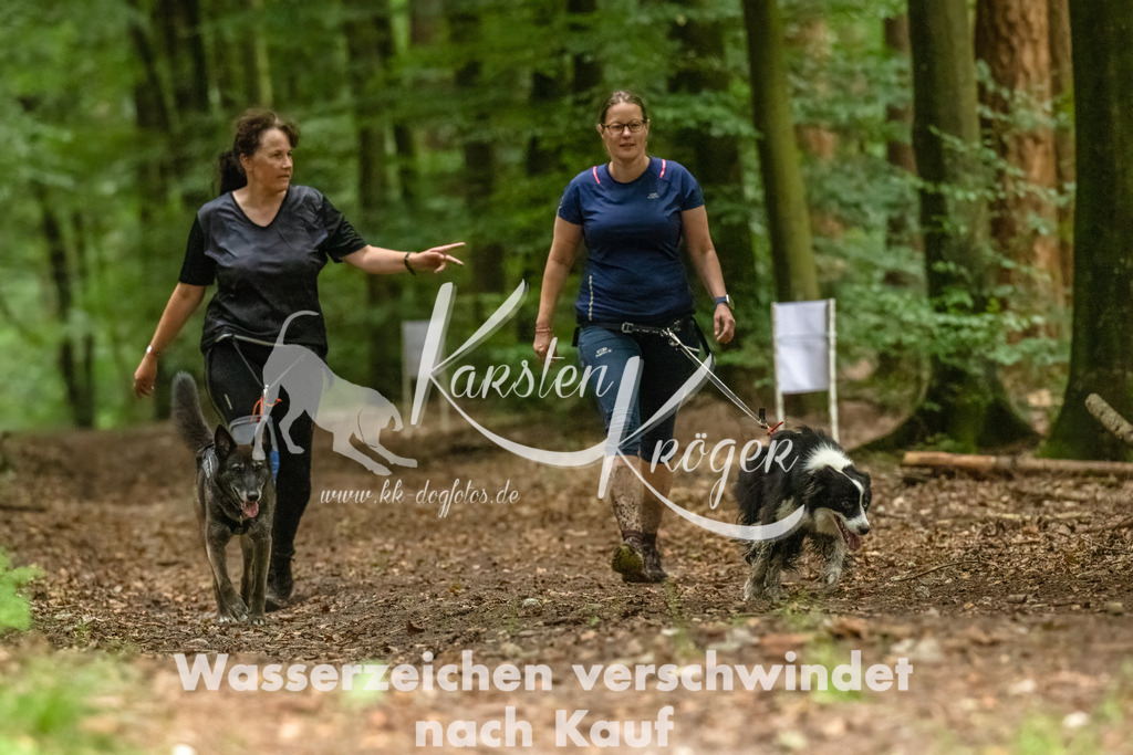 1241_ZZ91557-Bearbeitet-2 | kk-dogfotos