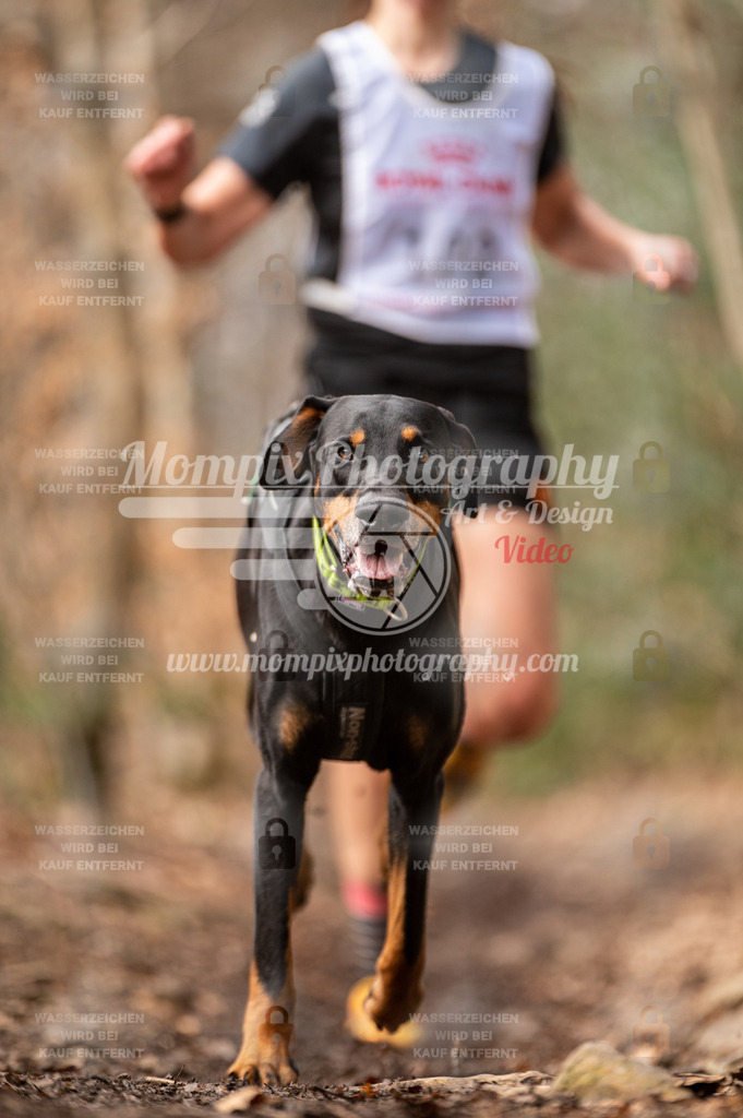 SPA_2023_DIM_Fun-4 | PayLife