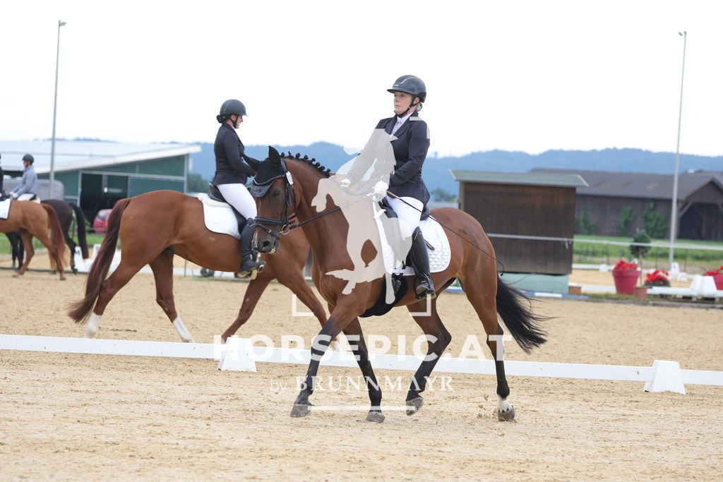 0P6A7522 | Willkommen bei Brunnmayr - Design & Fotografie – Ihrem Spezialisten für Reitturniere und Pferdeveranstaltungen in Oberösterreich, Salzburg und Bayern! Seit über 17 Jahren sind wir leidenschaftlich dabei.